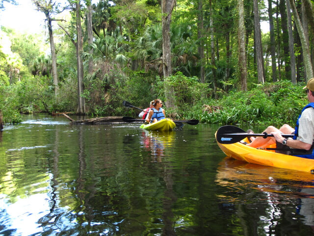 Passeio de caiaque no Riverbend Park: Descubra o oásis de água doce de The Palm Beaches