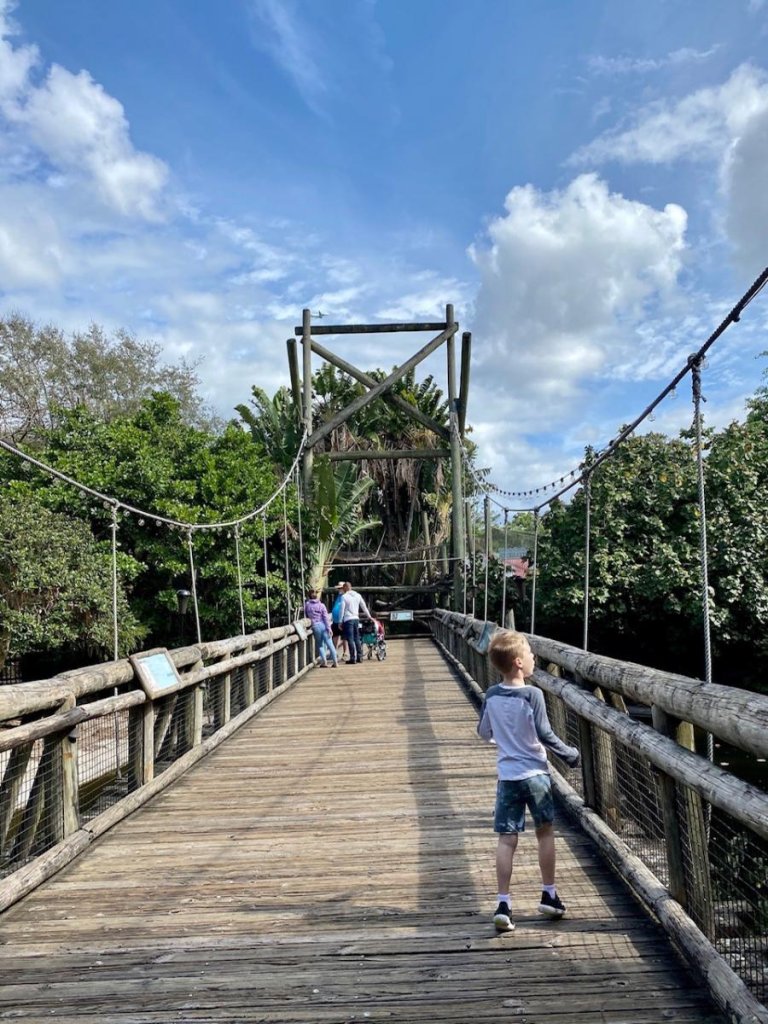 Palm Beach Zoo: Can&#8217;t-miss Animal Encounters in The Palm Beaches