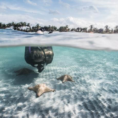 Unterwasser Schnorchel Bild