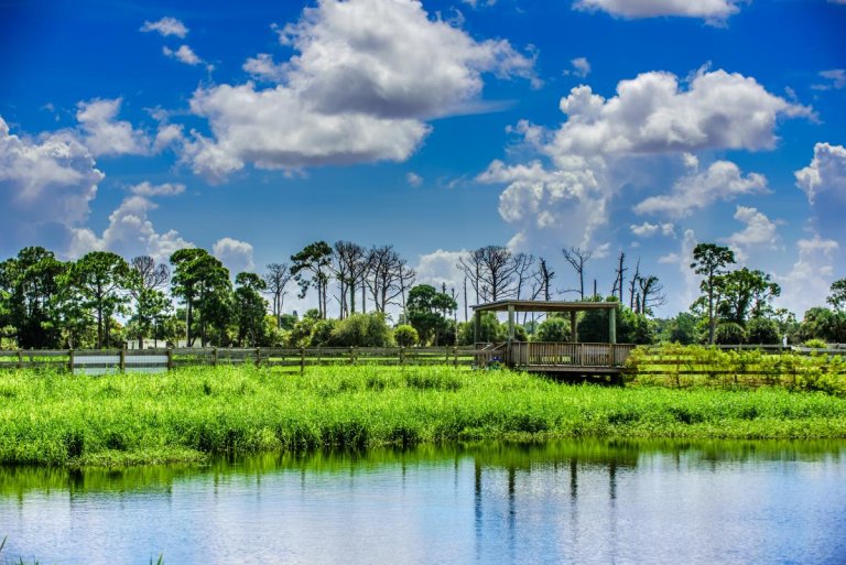 Diversión clásica en Palm Beaches: Los favoritos de Florida para sus próximas vacaciones