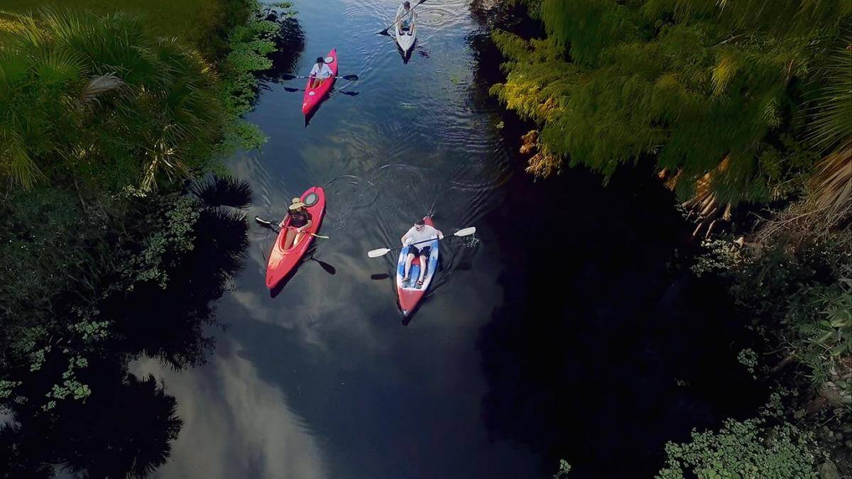 Vista aérea de un grupo de kayakistas en un río