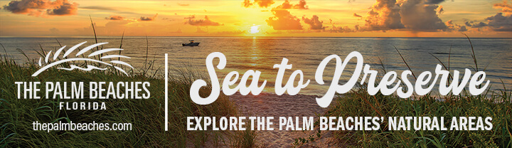 Nachhaltiger Tourismus: Umweltverträgliche Erlebnisse in den Palm Beaches
