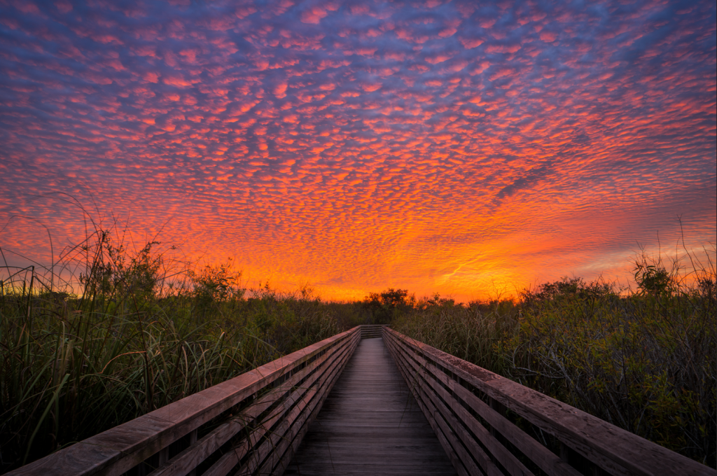 Las 100 mejores cosas que hacer en el condado de Palm Beach, Florida