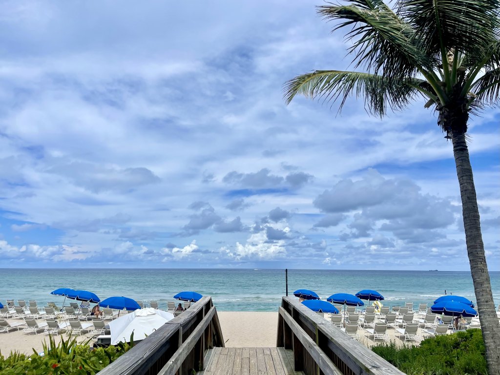 Guide essentiel des plages pour profiter des Palm Beaches