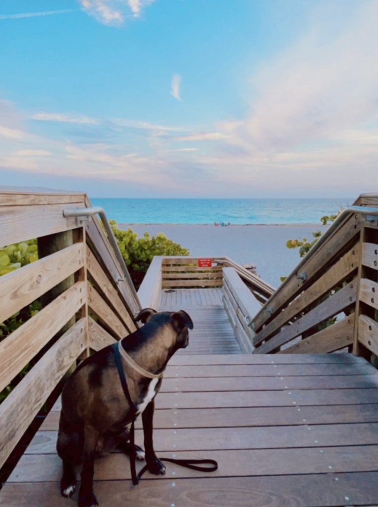 10 schönste Orte in Jupiter und Juno Beach, Florida