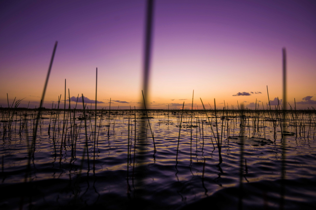 Lac Okeechobee au coucher du soleil