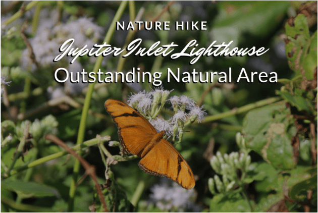Caminhada na natureza ao pôr do sol: Jupiter Inlet Lighthouse Outstanding Natural Area